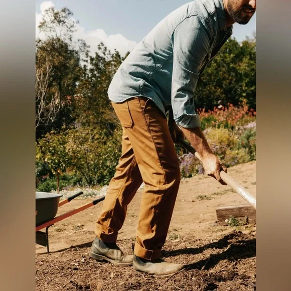 imogene + willie Tan Chinos for Men - Picture 5 of 13